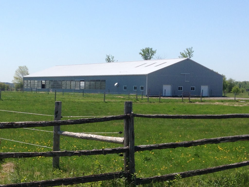 Edenwood Farms | 828 Golf Course Rd, Janetville, ON L0B 1K0, Canada | Phone: (905) 442-6399