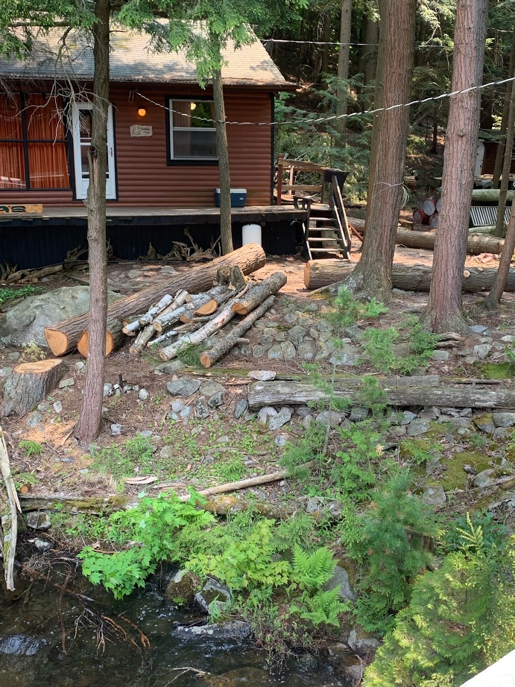 TreeWiseGuys Inc. | 60 Blackstone- Crane Lk Rd, Seguin, ON P2A 2W8, Canada | Phone: (905) 868-7326
