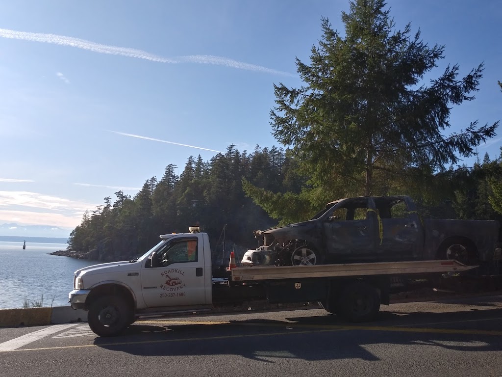 Roadkill Recovery | 684 Plaza Rd, Quathiaski Cove, BC V0P 1N0, Canada | Phone: (250) 287-1686