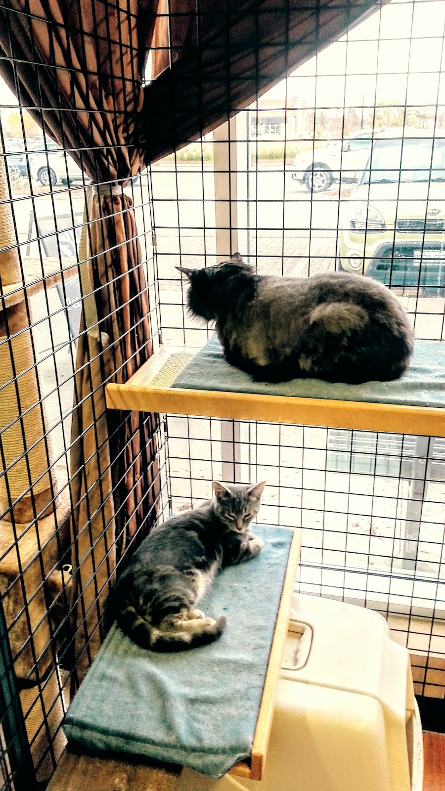 Pet Valu | 1510 Dundas St E, Mississauga, ON L4X 1L4, Canada | Phone: (905) 273-9992