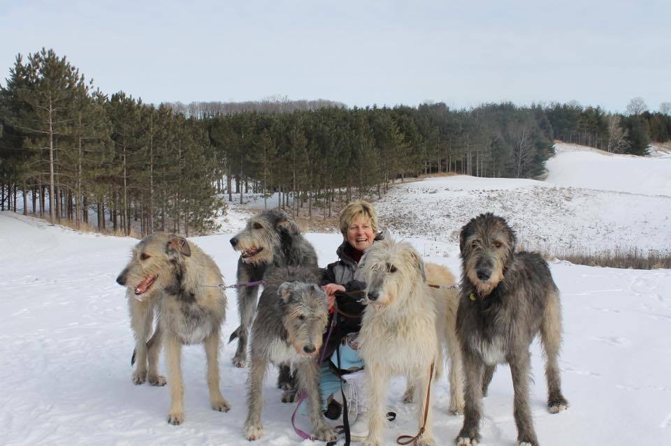 TLCDOGSANDMORE | 330 Webb Rd, Goodwood, ON L0C 1A0, Canada | Phone: (416) 889-8560