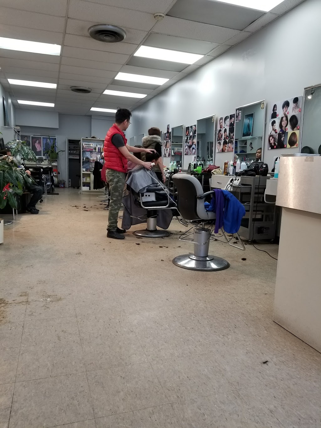 Hair In | 1575 Lawrence Ave W, North York, ON M6L 1C3, Canada | Phone: (647) 748-8088
