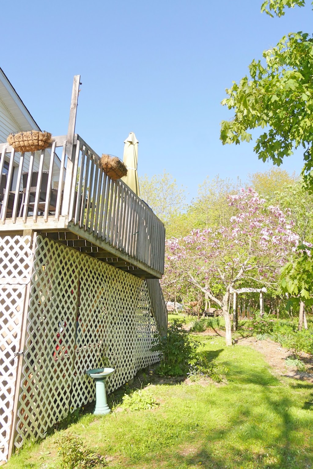 Sullys Tree Trimming | Rothesay, NB E2H 1G5, Canada | Phone: (506) 608-9394