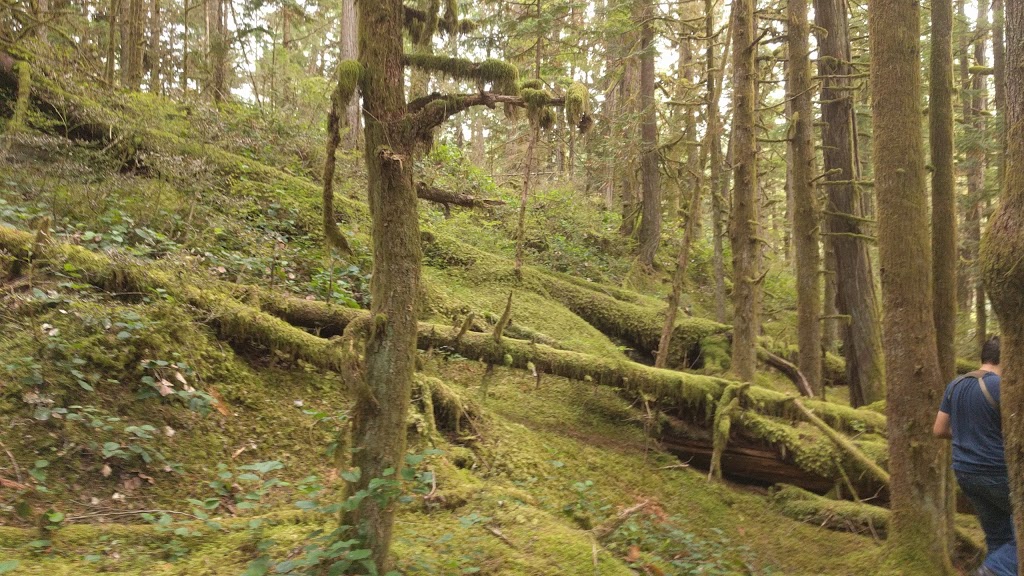 Weaver Lake Campground | Unnamed Rd, 1A1, Agassiz, BC V0M 1A1, Canada
