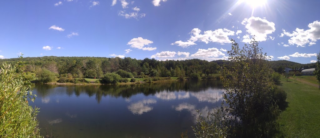 Parc Decouverte Nature | 2471 Chemin de Baldwin Mills-Barnston, Coaticook, QC J1A 2S4, Canada | Phone: (819) 849-2677
