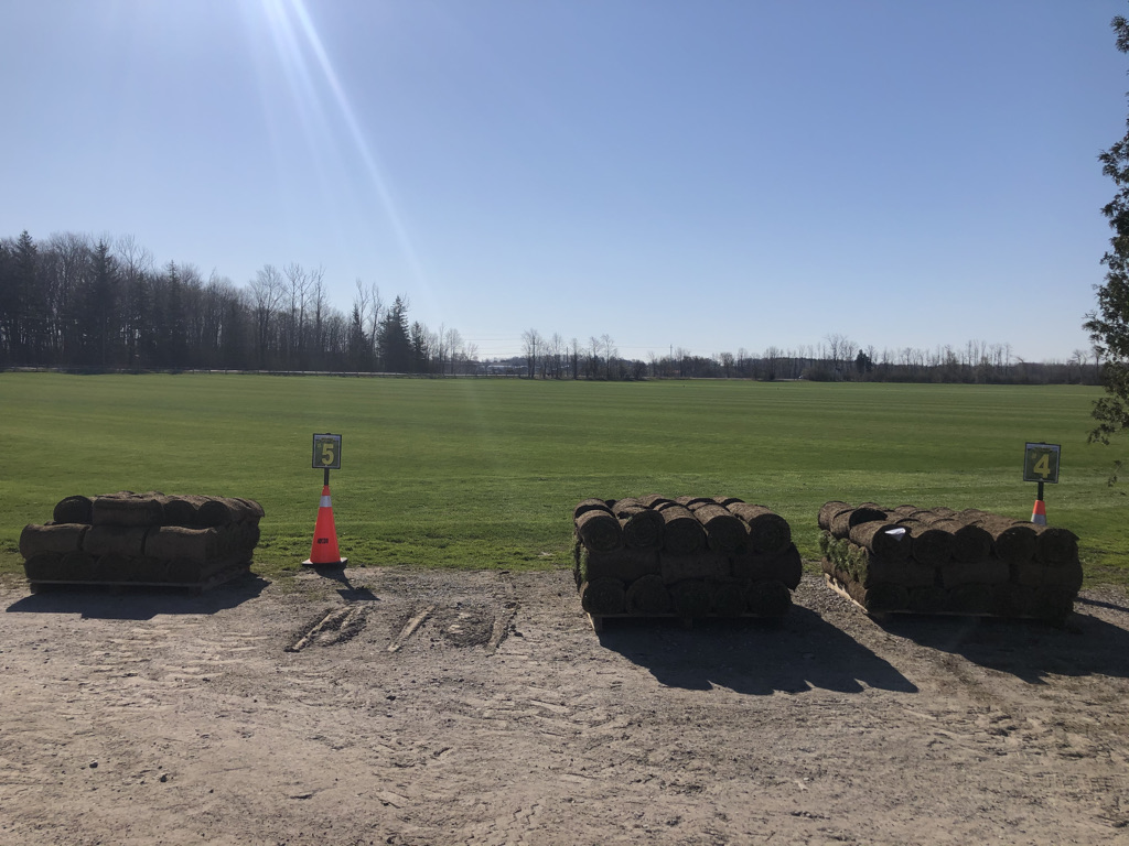 Brouwer Sod Farms Ltd | 23965 Warden Ave., Keswick, ON L4P 3E9, Canada | Phone: (905) 476-4361