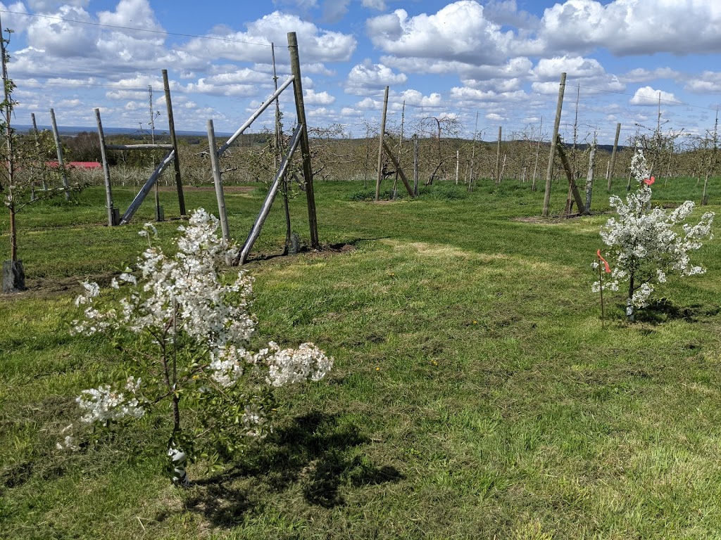 Jude-Pomme | 223 Rang Sainte-Sophie, Oka, QC J0N 1E0, Canada | Phone: (450) 479-6080