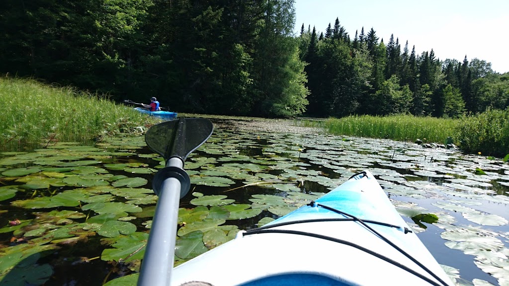 Marais du nord start | 1161 Chemin de la Grande Ligne, Stoneham-et-Tewkesbury, QC G3C 0Y3, Canada