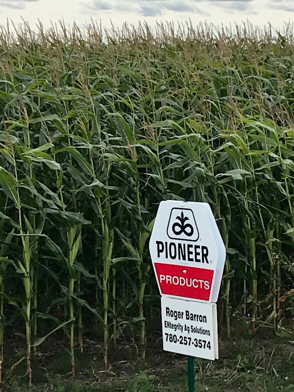 ENtegrity Ag Solutions | 53207 Range Rd 273, Spruce Grove, AB T7X 3N3, Canada | Phone: (780) 257-3574