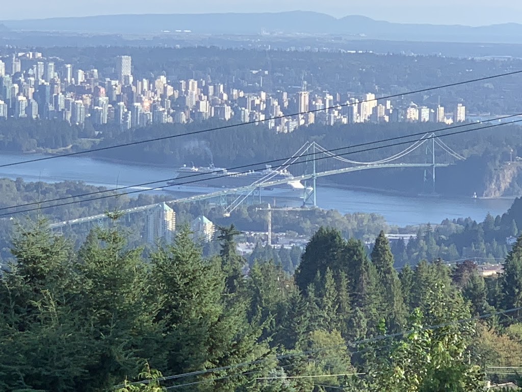 SI Alliance Development Inc. | 590 Craigmohr Dr, West Vancouver, BC V7S 1X2, Canada | Phone: (604) 916-2700