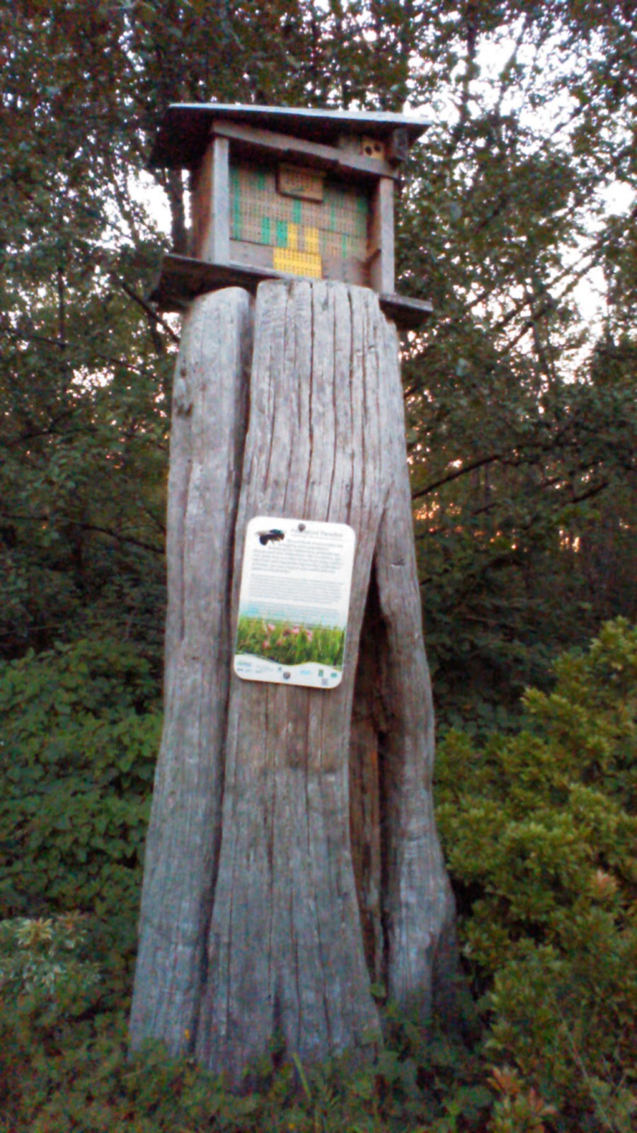 Manfreds Meadow | Killarney, Vancouver, BC V5S 4G5, Canada | Phone: (604) 873-7000