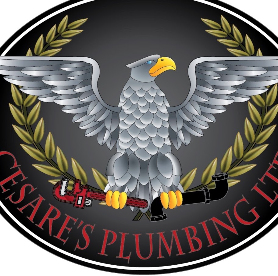 Cesares Plumbing Ltd. | 9 Wenstrom Crescent NE, Langdon, AB T0J 1X1, Canada | Phone: (403) 830-9408