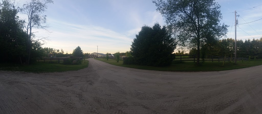 3 Nails Ranch & Trails Inc | 6635 3 Line, Fergus, ON N1M 2W4, Canada | Phone: (519) 994-7400