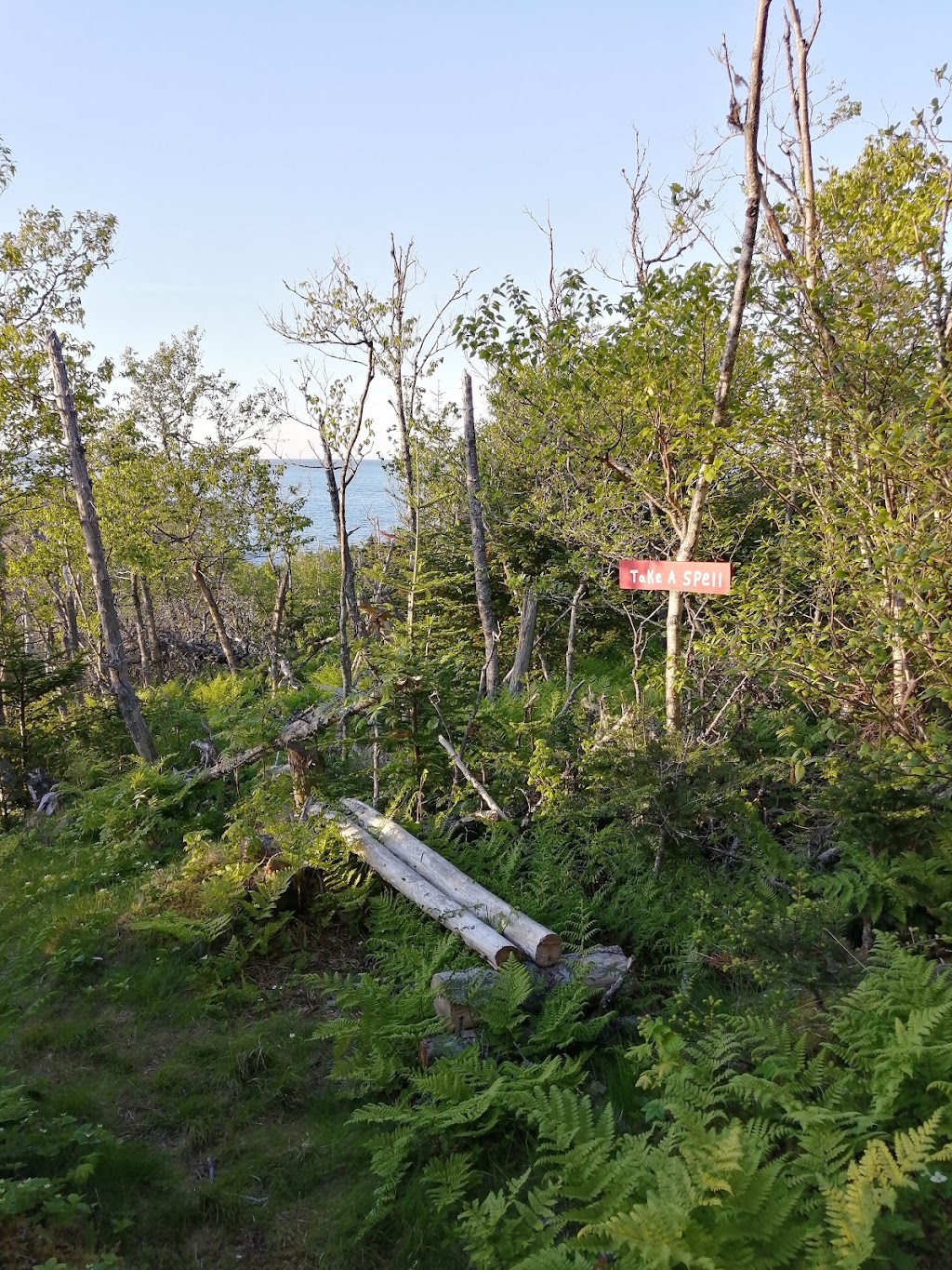 Chance Cove Coastal Hiking Trail | 100 Hwy 16, Chance Cove, NL A0B 1K0, Canada | Phone: (709) 460-4151