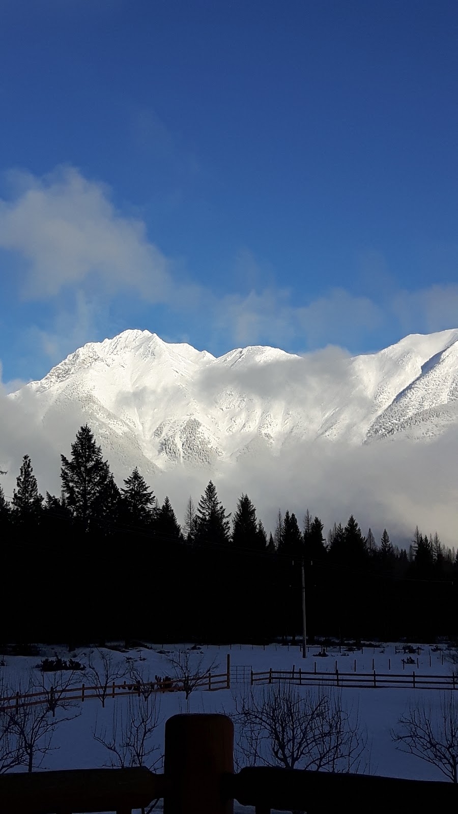 Bull River Guest Ranch | 2975 Bull River Rd, Cranbrook, BC V0B 1M1, Canada | Phone: (250) 429-3760