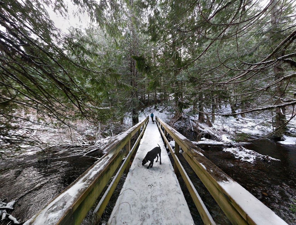Spectacle Lake Provincial Park | Cowichan Valley B, BC V0R, Canada | Phone: (800) 689-9025
