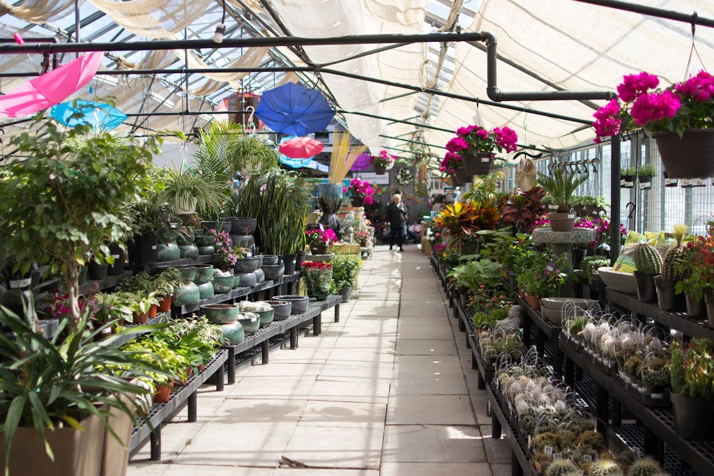 Harpers Garden Centre | 1039 Wilson Street East, Ancaster, ON L9H 5E3, Canada | Phone: (905) 648-2157