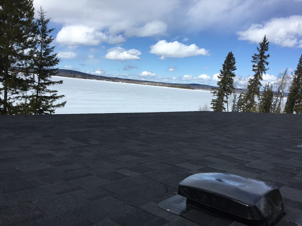 Next Level Roofing & Renovations Ltd | 1415 Nelson Pl, Kelowna, BC V1Y 9H4, Canada | Phone: (250) 945-5104