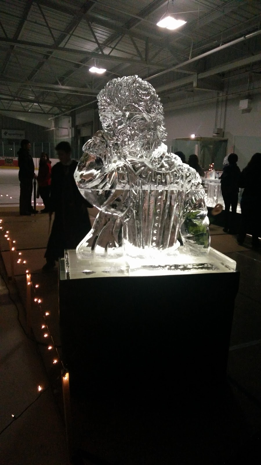 Blyth Arena and Community Centre | 377 Gypsy Ln, Blyth, ON N0G 2W0, Canada | Phone: (519) 523-9600