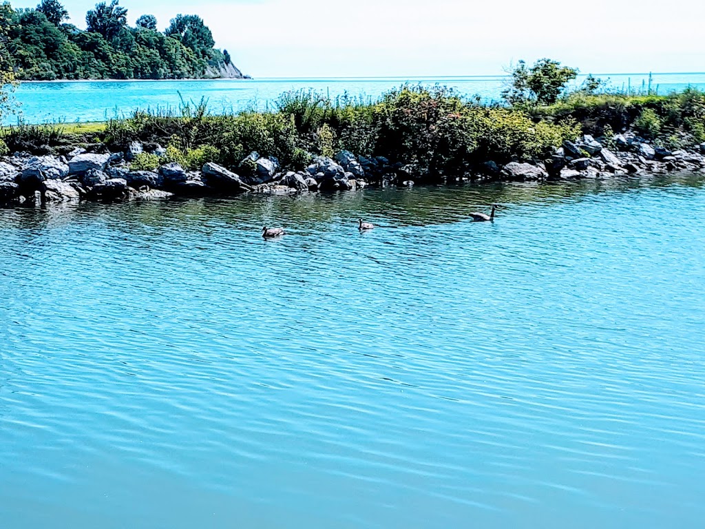 Newcastle Marina | 160 Lakebreeze Dr, Newcastle, ON L1B 0A1, Canada | Phone: (905) 987-5251