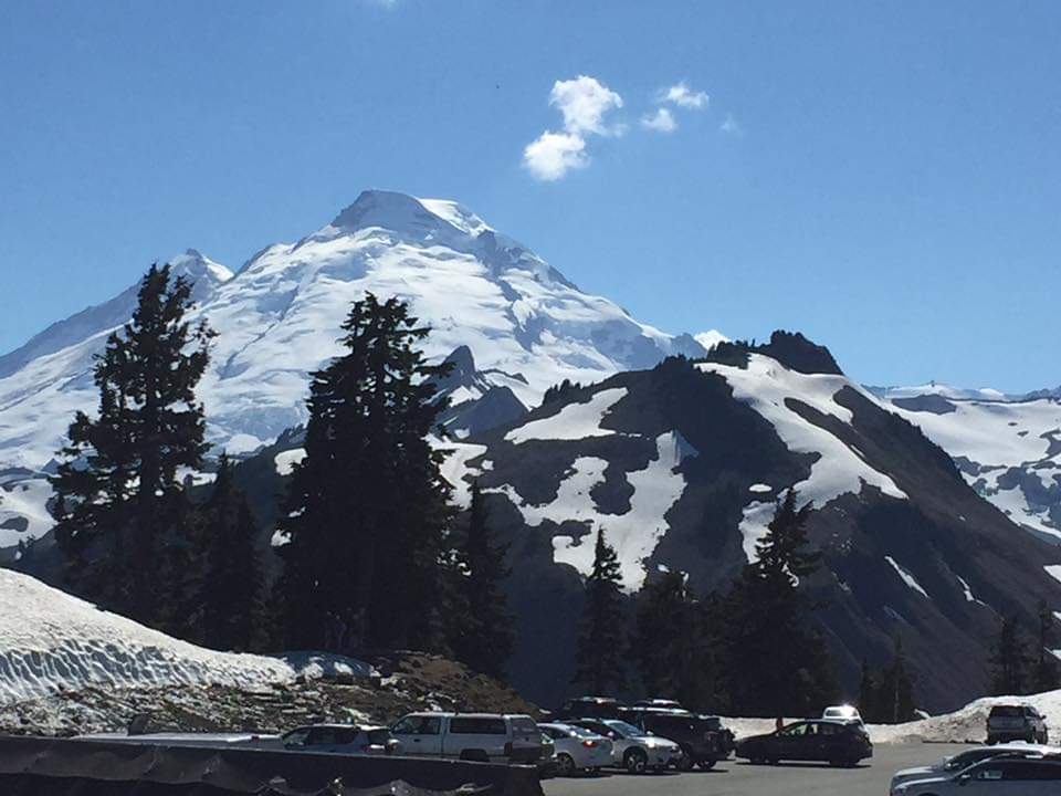 Windmill Inn Lynden | 8022 WA-539, Lynden, WA 98264, USA | Phone: (360) 354-3424