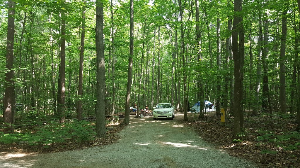 Hawk Campground | Tiny, ON L9M 1R2, Canada | Phone: (800) 668-2746
