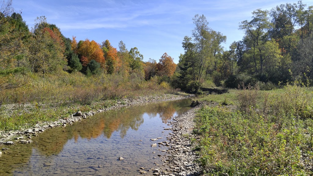 Sprague Brook County Park | 9674 Foote Rd, Glenwood, NY 14069, USA | Phone: (716) 592-2804