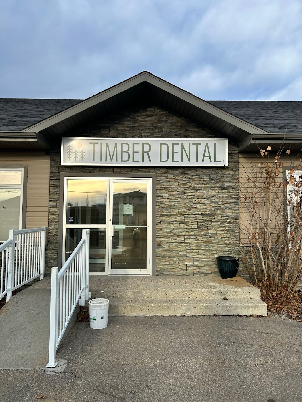 Timber Dental | 4102 47 St, Drayton Valley, AB T7A 1G6, Canada | Phone: (780) 542-5395