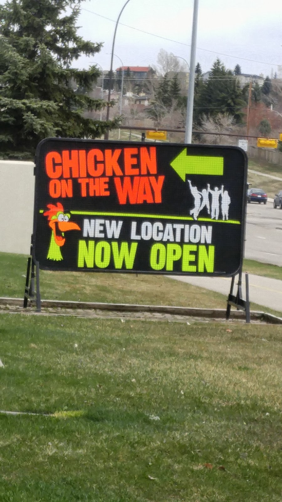 VCA Canada Crowfoot Animal Hospital | 150 Crowfoot Crescent NW #211, Calgary, AB T3G 3T2, Canada | Phone: (403) 241-8944