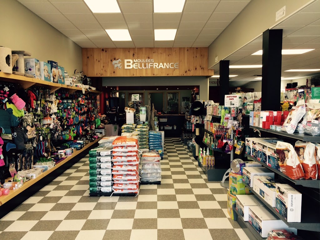 Les Moulées Bellifrance | 6260 Boulevard Laframboise, Saint-Hyacinthe, QC J2R 1G2, Canada | Phone: (450) 253-5537