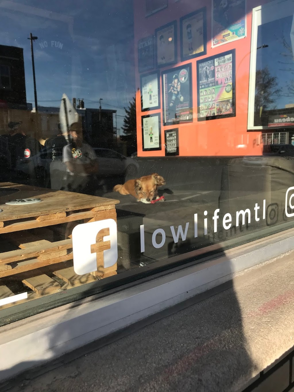Lowlife Mtl | 6001 Av. Papineau, Montréal, QC H2G 2W7, Canada | Phone: (514) 370-5134