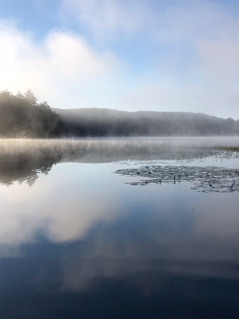 Harmony Resorts - South Algonquin | 4445 Elephant Lake Rd, Harcourt, ON K0L 1X0, Canada | Phone: (705) 448-2387