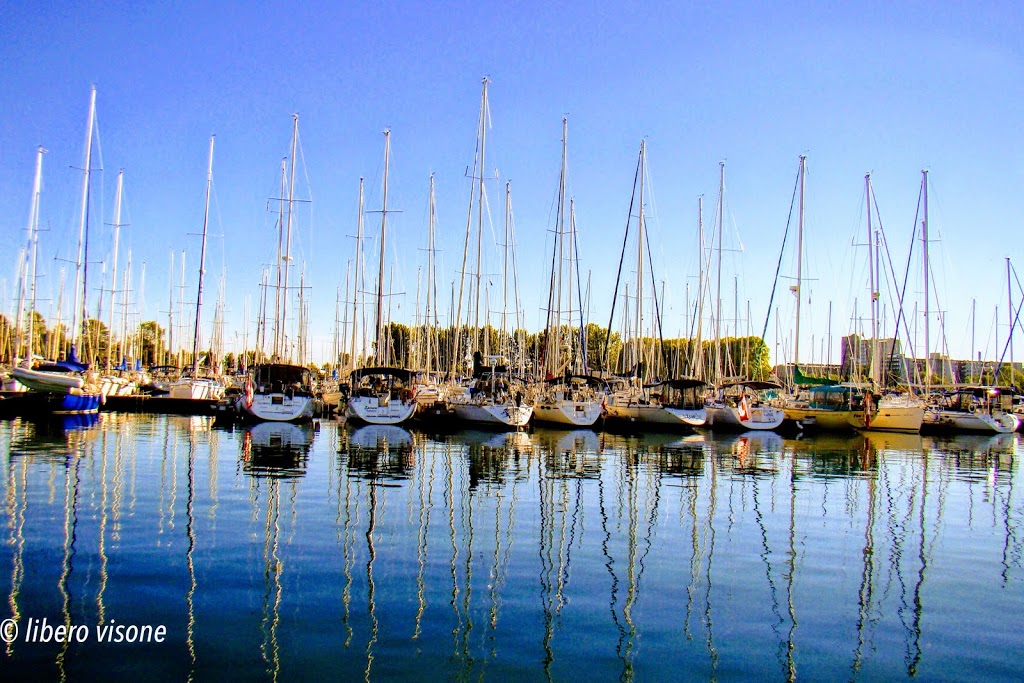 Humber Bay Park West Dog Park | 2225 Lake Shore Blvd W, Etobicoke, ON M8V 3X7, Canada