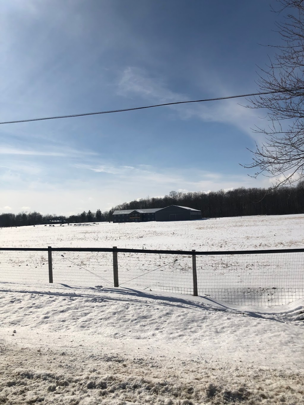 Plain Bay Polo Centre | 52052 Regional Rd 24, Wainfleet, ON L0S 1V0, Canada | Phone: (905) 505-0140