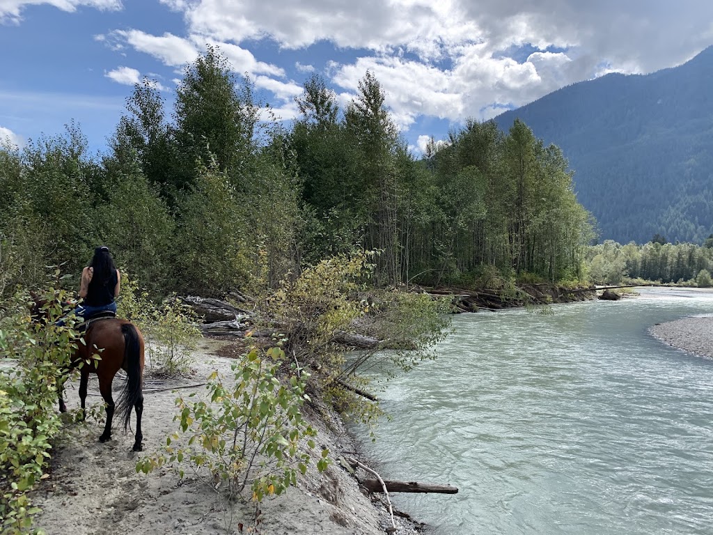 Squamish River Horse Adventures - SRHA | 15986 Squamish Valley Rd, Brackendale, BC V0N 1H0, Canada | Phone: (604) 905-8565