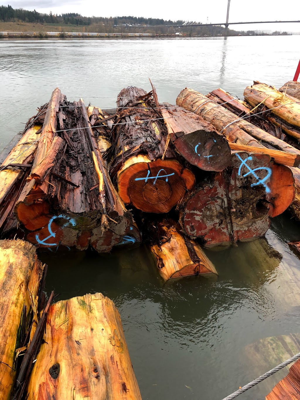 Platinum Cedar Sales | 3542 McKinley Dr, Abbotsford, BC V2S 8M6, Canada | Phone: (604) 615-2534