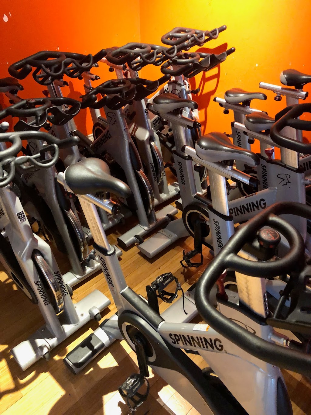 Studio 1 Gym | 1385 Chem. Canora, Mont-Royal, QC H3P 2J6, Canada | Phone: (514) 448-0277