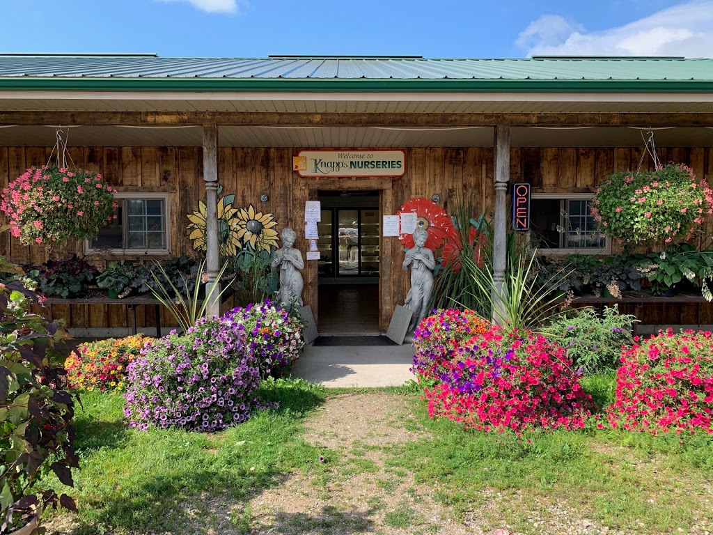 Knapps Nursery and Farms Ltd. | 8066 Wellington Rd 124, Guelph, ON N1H 6H7, Canada | Phone: (519) 824-2800