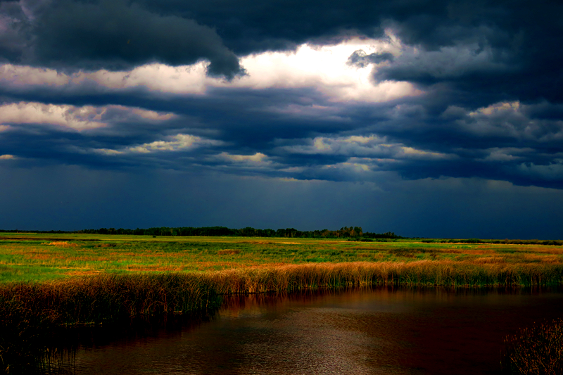 Last Mountain Regional Park | Govan, SK S0G 1Z0, Canada | Phone: (306) 484-4483