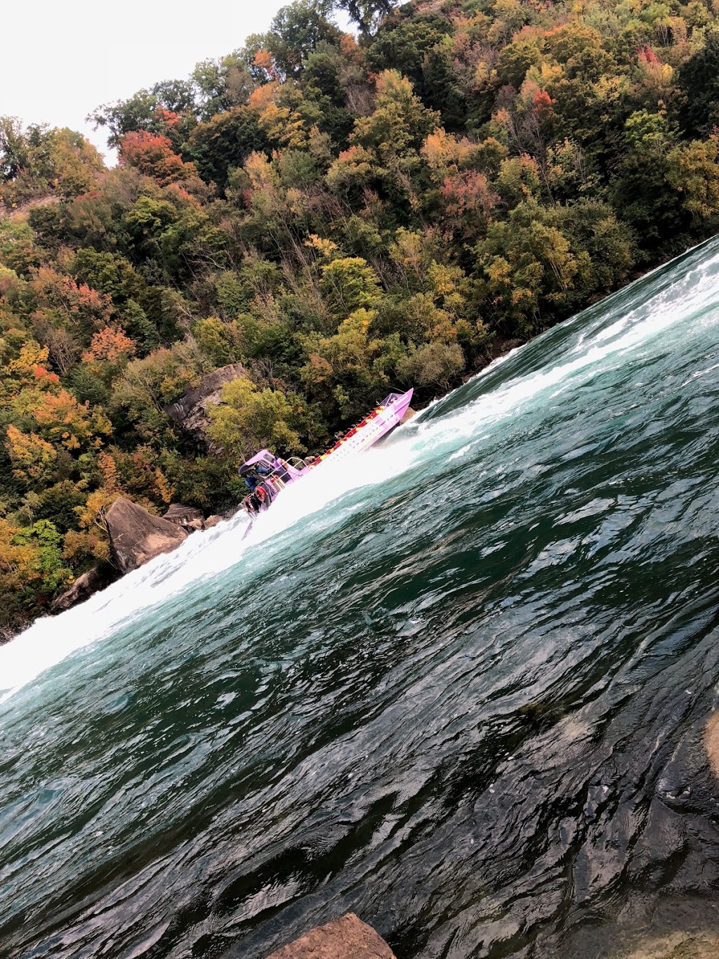 Niagara Glen Nature Centre | 3050 Niagara Pkwy, Niagara Falls, ON L2E 3E8, Canada
