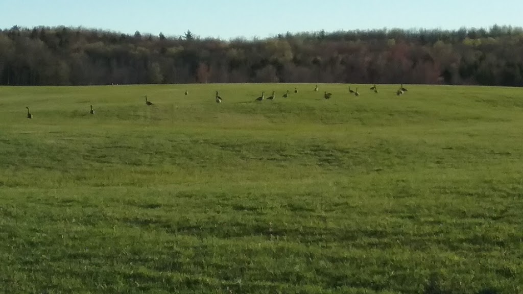 Eagle Point Wildlife Management Area | 2 Woodlawn Ave, Newport, VT 05855, USA