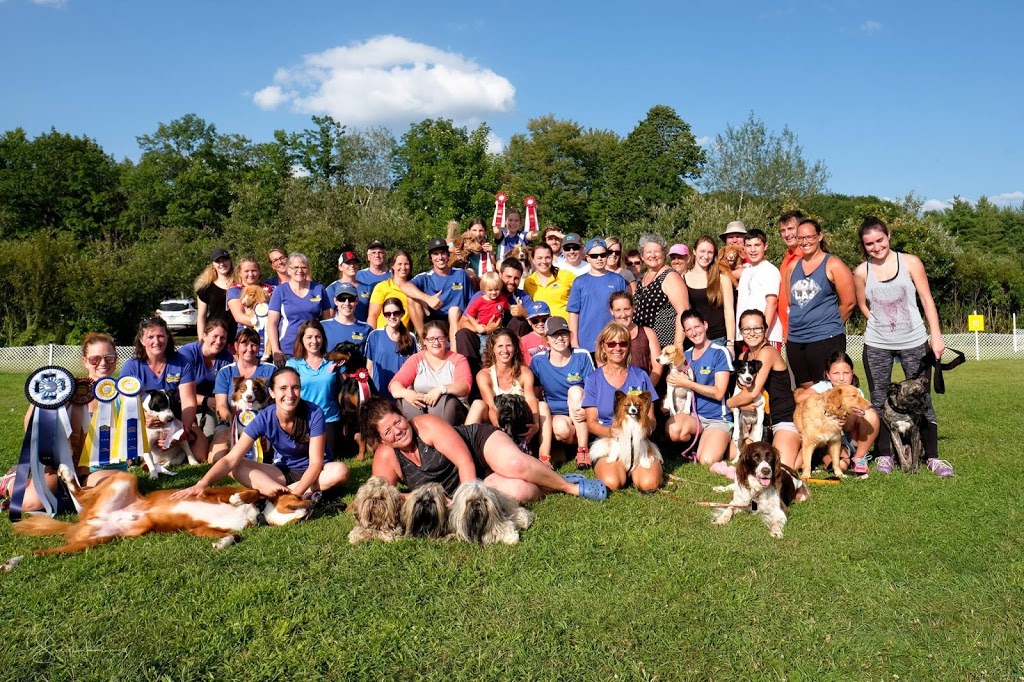 Professionnel Légitime Canin | 230 Rang de la Montagne, Rougemont, QC J0L 1M0, Canada | Phone: (514) 922-2752