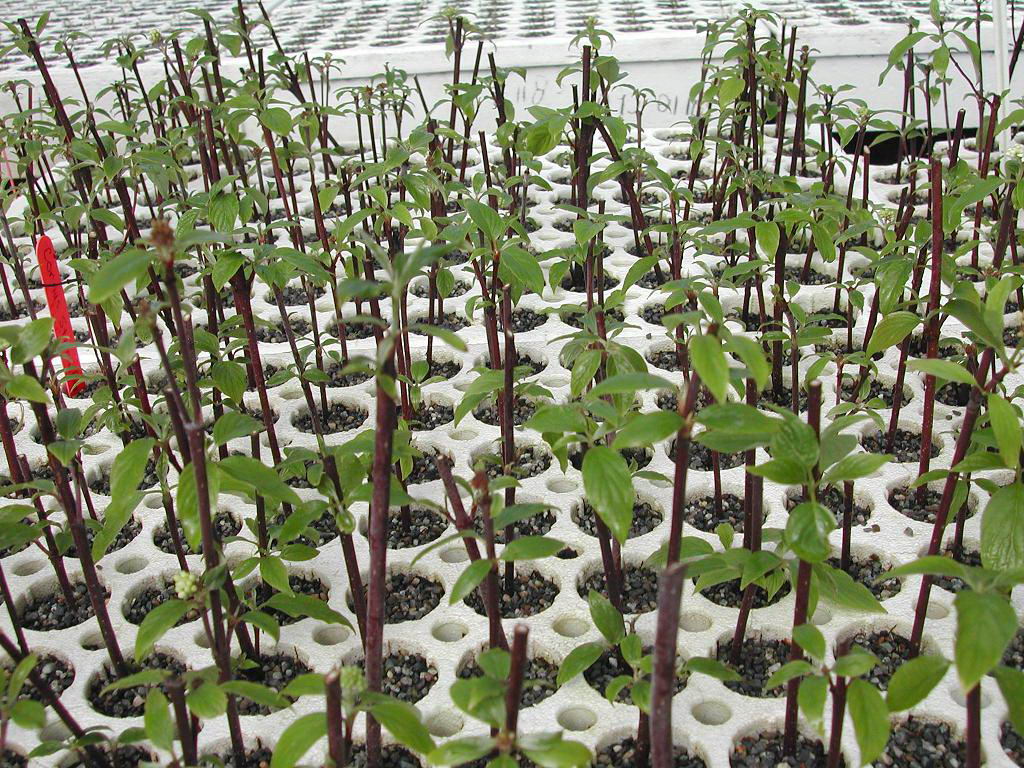 Reclaimit Ltd | 71 Lang Close, Red Deer, AB T4R 3N3, Canada | Phone: (403) 358-6093