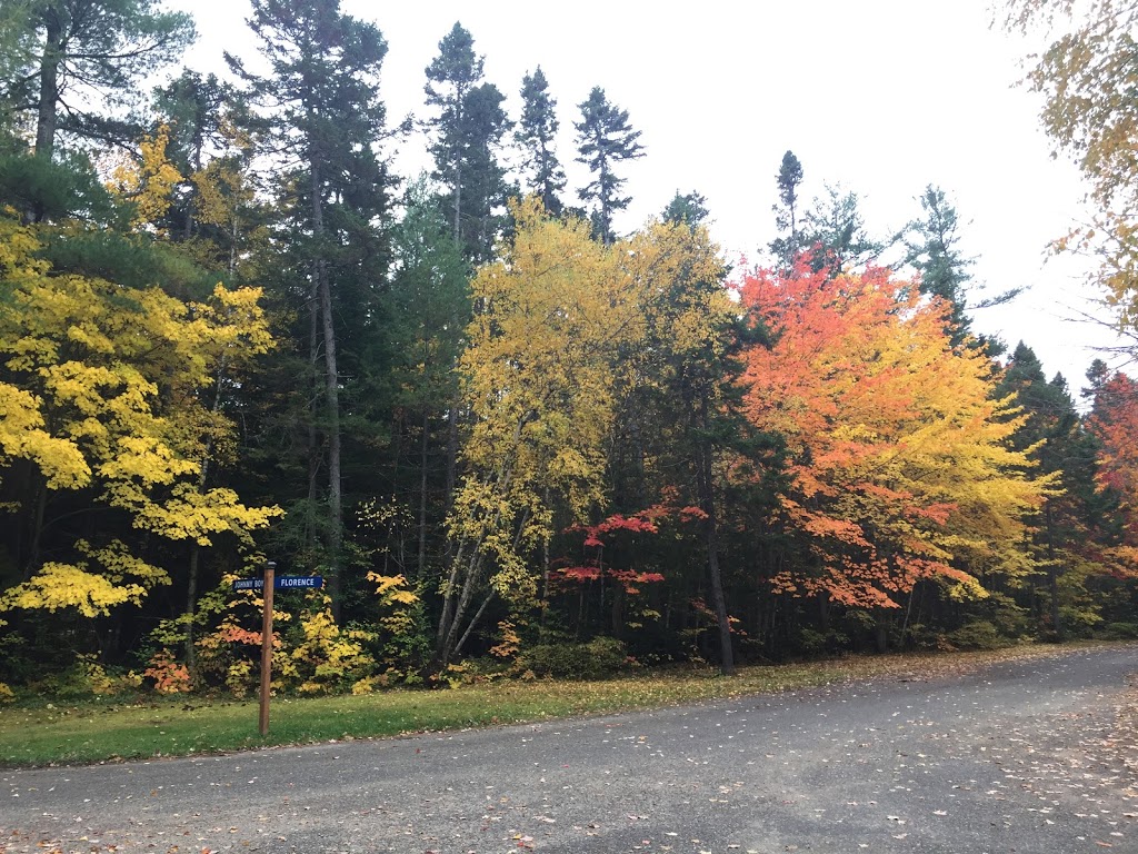 Enclosure Campground | 8 Enclosure Rd, Derby Junction, NB E1V 5B2, Canada | Phone: (506) 622-8638
