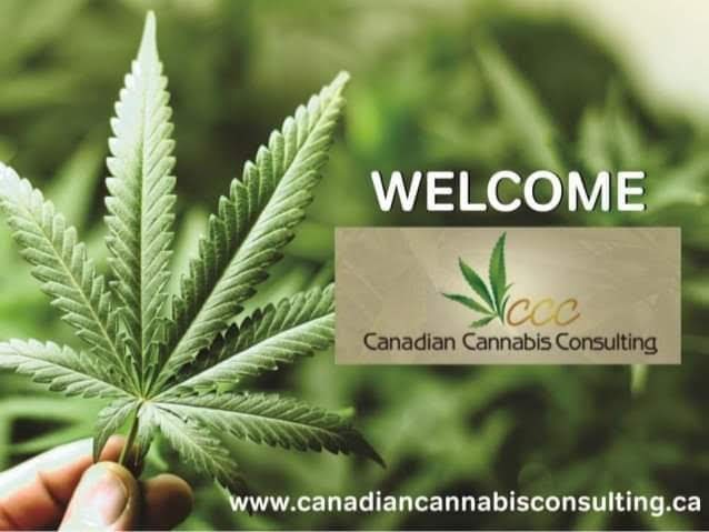 Doc Weedlaw aka Derek Francisco | Little Britain Rd, Kawartha Lakes, ON K0M, Kawartha Lakes, ON K0M 2C0, Canada | Phone: (833) 765-2621