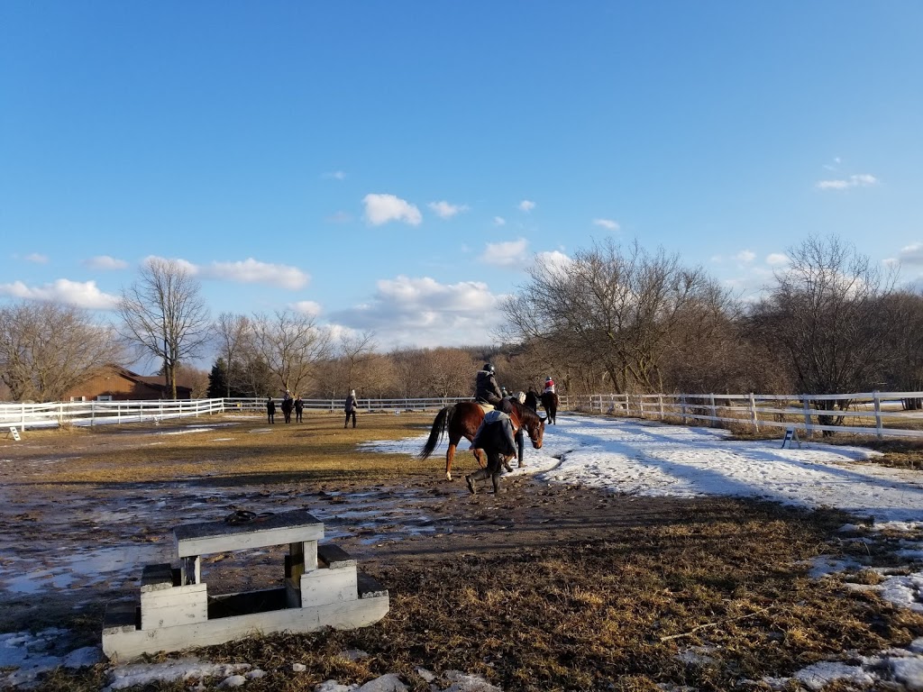 Central Ontario Developmental Riding Program | 584 Pioneer Tower Rd, Kitchener, ON N2P 2W7, Canada | Phone: (519) 653-4686