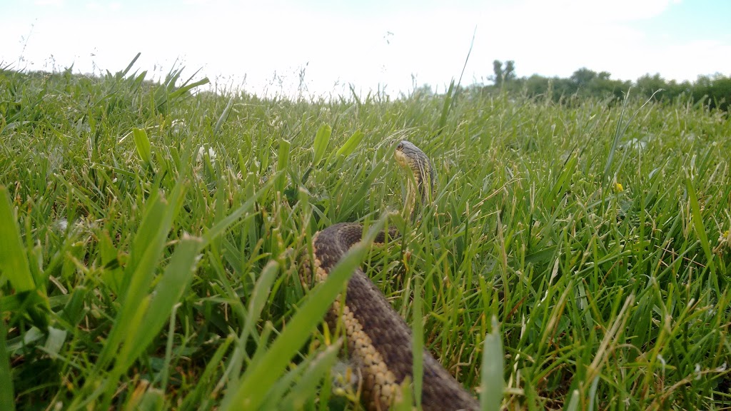 Warwick Conservation Area | 6101 Warwick Village Rd, Watford, ON N0M 2S0, Canada | Phone: (519) 849-6770