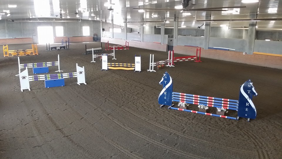 Horse In Hand Ranch Ltd. | Blackfalds, AB T0M 0J0, Canada | Phone: (403) 550-3440