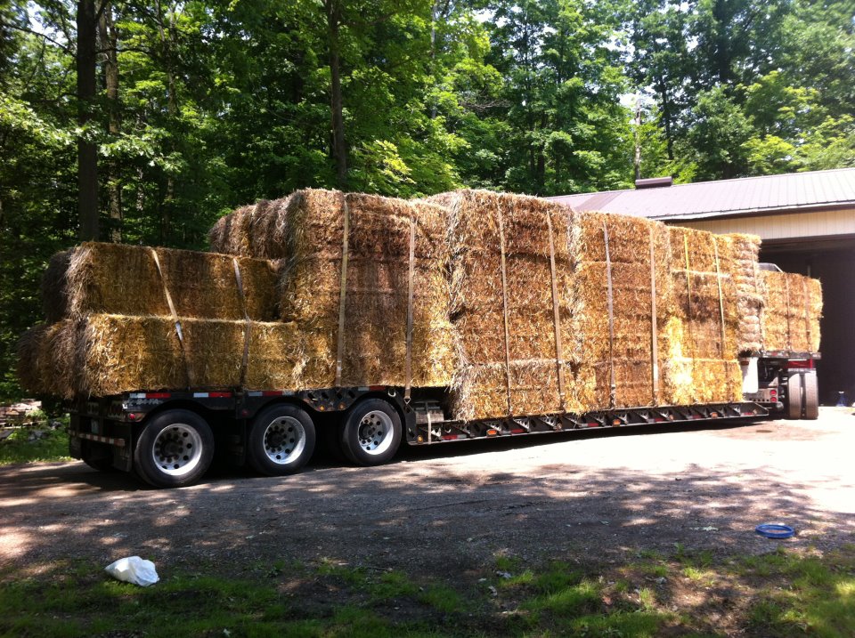 TRC Trucking | 5122 Forest Rd, Watford, ON N0M 2S0, Canada | Phone: (519) 849-6529