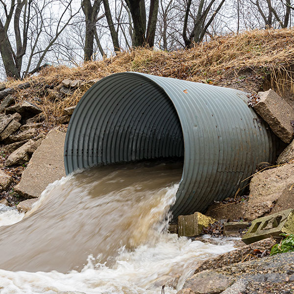 Malcolms Creek Beaver Management | 142 Oakland Rd, Oakland, ON N0E 1L0, Canada | Phone: (519) 755-4698